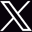 X icon